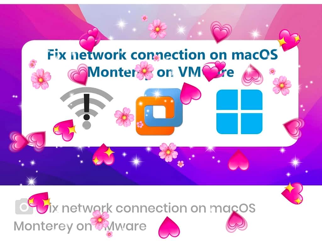 vmware fusion for mac connect to internet